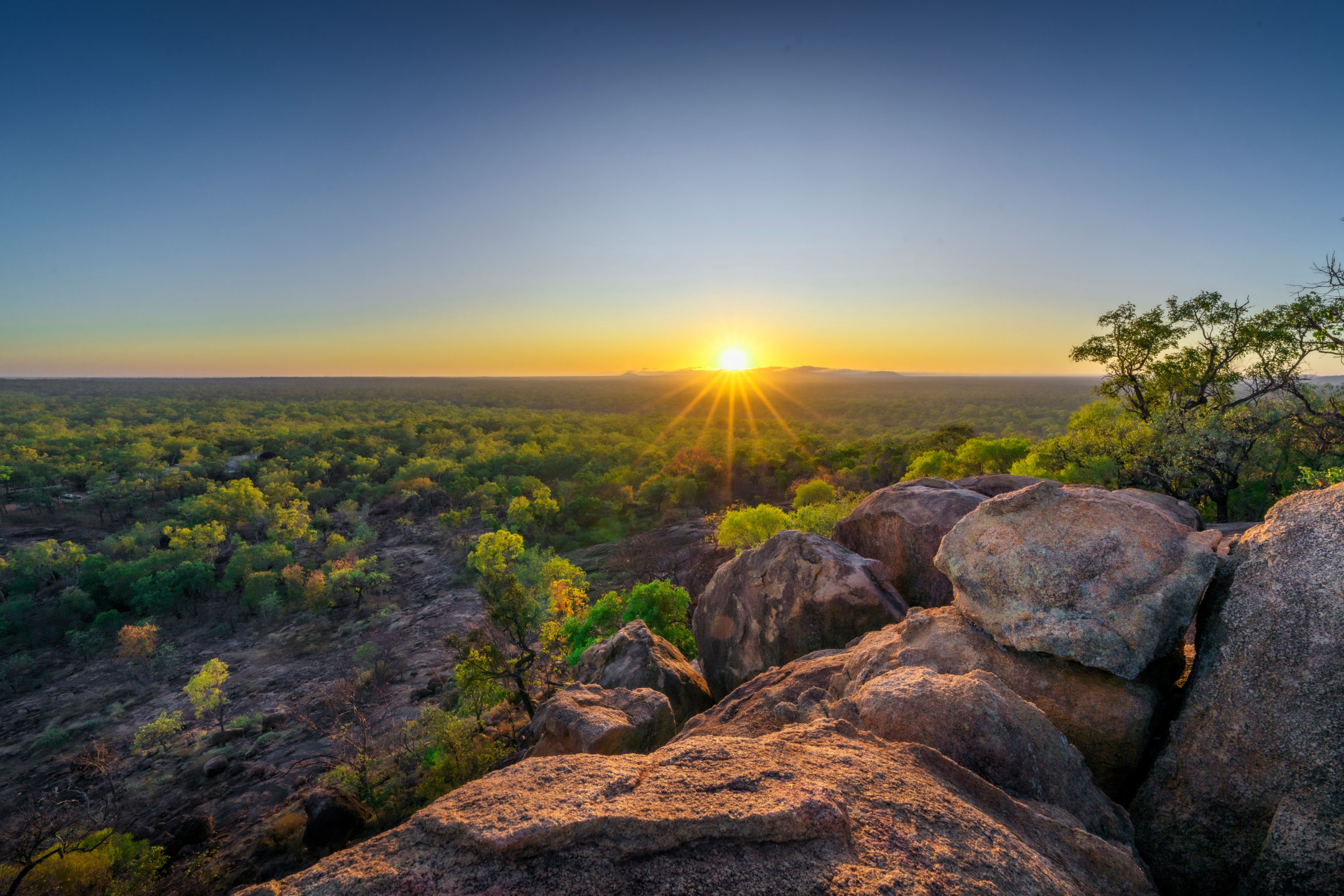 AD NET ZERO <strong>AUSTRALIA</strong> featured image