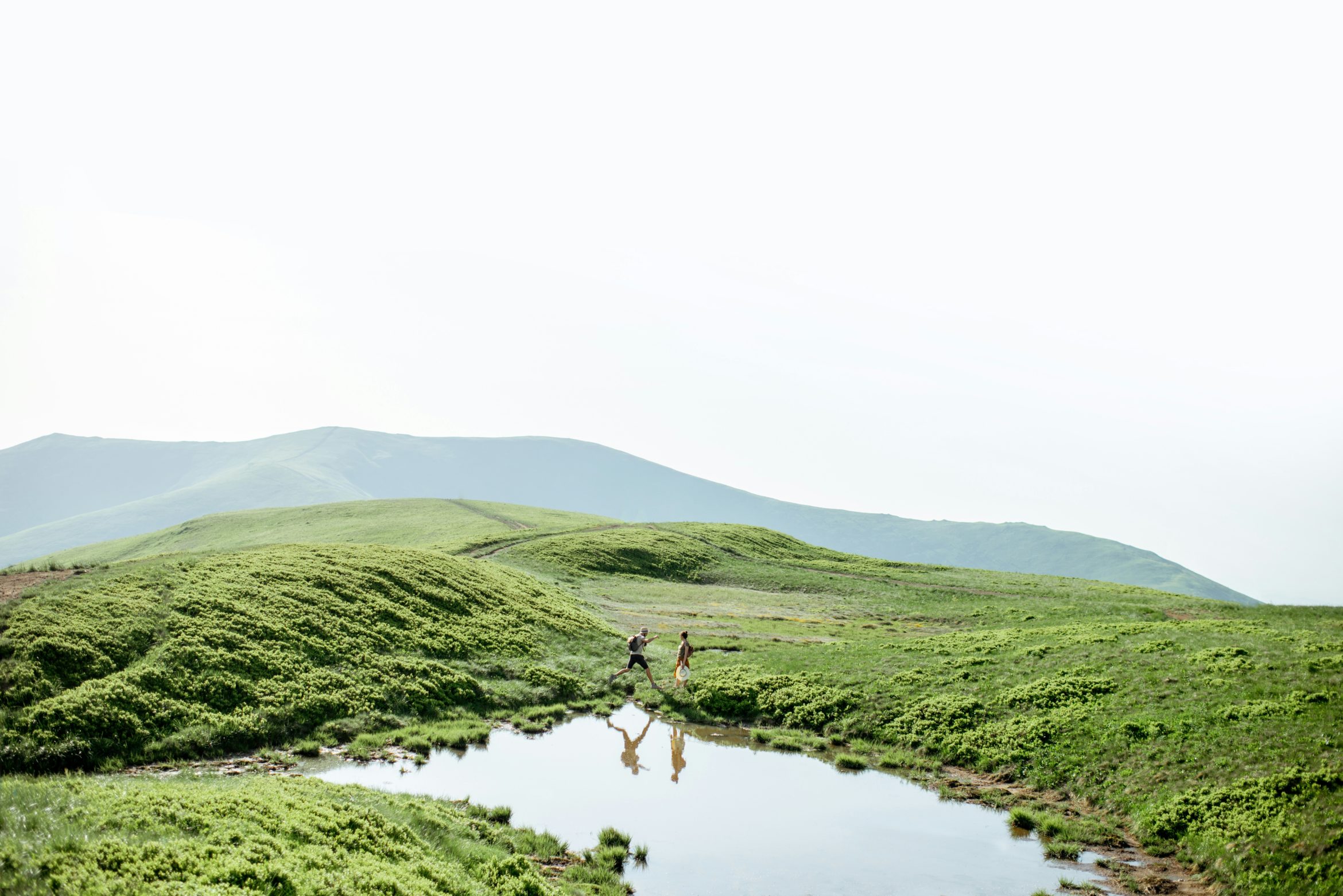 The climate emergency is the most pressing issue affecting us all, and our advertising industry can play a huge role in driving positive change. featured image